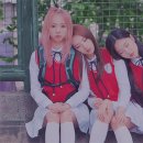 모노트리 이미지