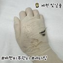빛날율