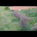 심즙신도비 이미지