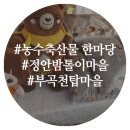 정안밤톨이정보화마을 이미지