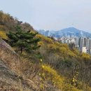 자연밥상 이미지