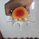 이도 한의원 이미지