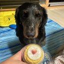 김가네 김포마산점 | [일상] 09.18-09.24 생일 축하해 곽상사❤️🎂🎉🥳