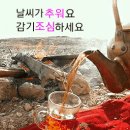 간추린 뉴스 이미지