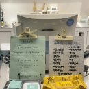 브라보 | 제주 동문시장 근처 젤라또 맛집 브라보 후기