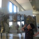 국민24 행정사사무소 이미지