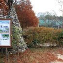 우포마을민박 이미지