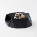 Dog House 이미지
