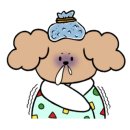 땅콩 동물병원 이미지