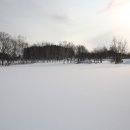 그리움을 말하다 이미지