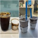 블루샥팔레드시즈점