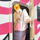 이쁘개 이동미용 이미지