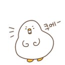 비니래쉬앤뷰티 네이버블로그