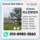 영토탈크리닝 이미지