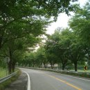 복내초등학교 이미지