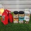 패러그린 이미지