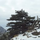 인생은 시처럼 음악처럼 이미지