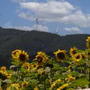 구와우농장 이미지