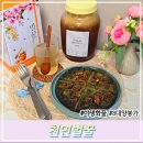 SD네이처