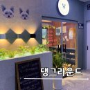 휴 애견미용 | 시흥 목감 애견카페 댕그라운드 호텔링 데이케어 셀프 목욕