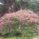 소류지공원(1) 이미지