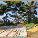 무창포공인중개사사무소 이미지