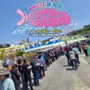 롯데몰 앞 횡단보도1 | 기장 멸치축제 2026 실시간 후기 ㅣ제철 멸치회 멸치튀김 시식
