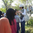 장성초등학교 이미지