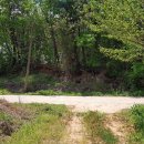 진등농장 이미지