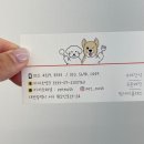 Pet nosh(펫노쉬) 이미지