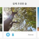 트리모토