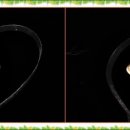 불광1-013 이미지