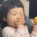 을사년해 새해 명절 설빔 서문시장 아기한복 부인한복 / 유소아 액상형 철분 보충용 탁터라인 헤모키즈...