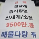 우리공인중개사 이미지