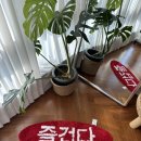 서핑하닭 | 양양숙소추천 인구해변1분거리 핫도그하우스 에어비엔비 예약 후기
