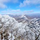 국립공원 덕유산 눈꽃산행기 이미지