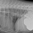 조영메디칼 이미지