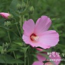 바람의 집 이미지