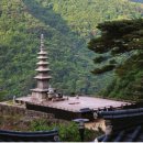 망양정로2 (지방도917) | 대길,봉화 35번 국도 청량산, 경주 4번 국도 동해안길,울진 7번 국도 망양정로, 금오산 도립공원,한티재