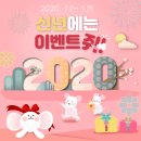 도그마루 이미지