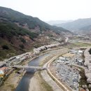 화개십리벚꽃길 이미지