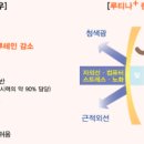 루아이즈 이미지