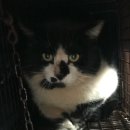 고려축산2농장 이미지