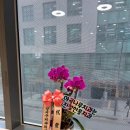 강서김치과의원 이미지