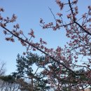 오복수산 | 광화문 교보문고 맛집, 오복수산참치 특카이센동 후기