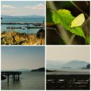 소라면 궁항~달천 이미지