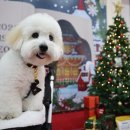 연합동물병원 이미지