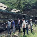 남은농장 이미지