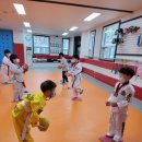 우리 태권도 체육관 이미지