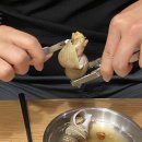 원조골뱅이 이미지